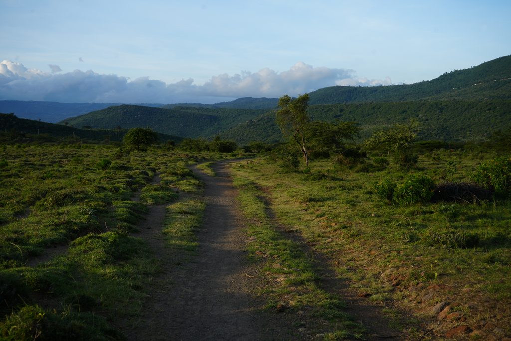 Unpaved road running through Namuoncha Ranch in Kenya’s Rift Valley